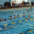 Dolnośląska Liga Pływacka klas V, 2006-11-25