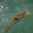 III Zimowe Mistrzostwa Zagłębia Miedziowego w pływaniu, 2006-12-09