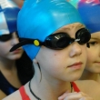IV Edycja Dolnośląskiej Ligi Pływackiej klas IV, 2010-05-15