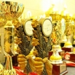 IV Edycja Dolnośląskiej Ligi Pływackiej klas IV, 2010-05-15