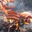 Ognisko kończące sezon 2009/2010, 2010-06-11