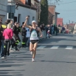 XXVI Bieg Sokoła, 2011-04-03