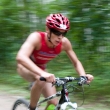 Grand Prix Wheeler Triathlon Tour MTB, 2011-08-13