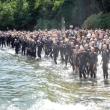Mistrzostwa Polski w Aquathlonie, 2012-08-12