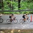 Garmin Iron Triathlon, 2013-07-07
